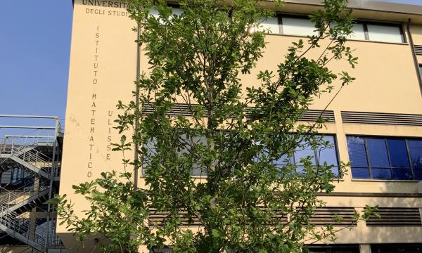 Deposizione di una targa in memoria di Carlo Casolo