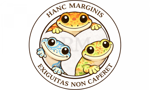 Chi nasce tondo non pu&ograve; morire quadrato - incontro con i Rudi Matematici.