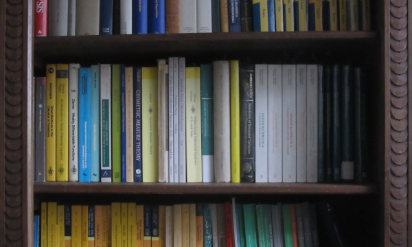 Organizzazione